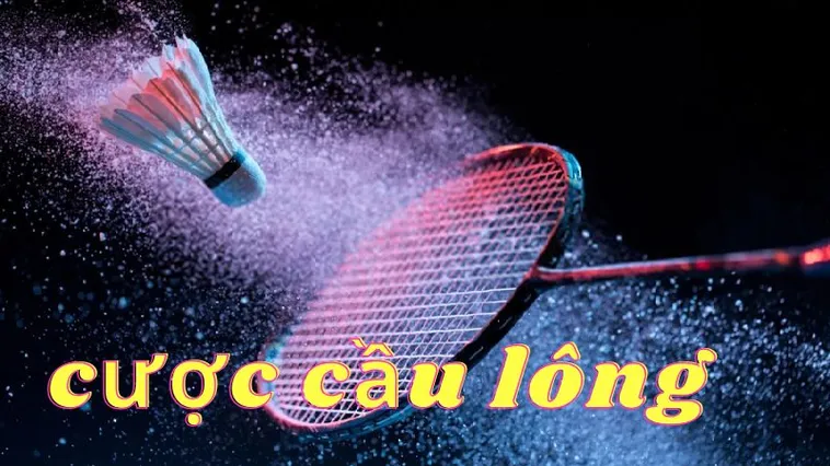 Cách chơi cá cược Cầu Lông tại AW8 chi tiết và chuẩn xác nhất