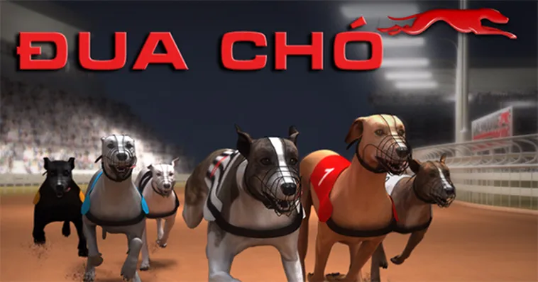 Cách Chơi Game Nhanh Đua Chó Tại AW8 Hiệu Quả Và Dễ Dành Chiến Thắng