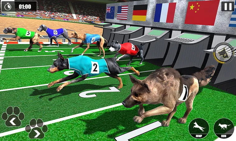 Cách Chơi Game Nhanh Đua Chó Tại AW8 Hiệu Quả Và Dễ Dành Chiến Thắng